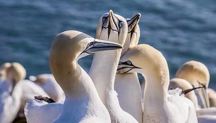 开云·体育官网-中国足球联赛俱乐部财务管理透明度持续加强，足球俱乐部财务报表