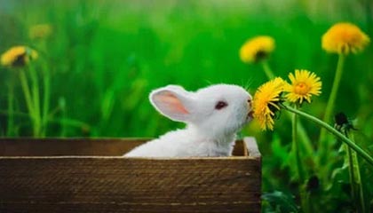 开云·体育官网-中国足球联赛俱乐部财务管理透明度持续加强，足球俱乐部财务报表